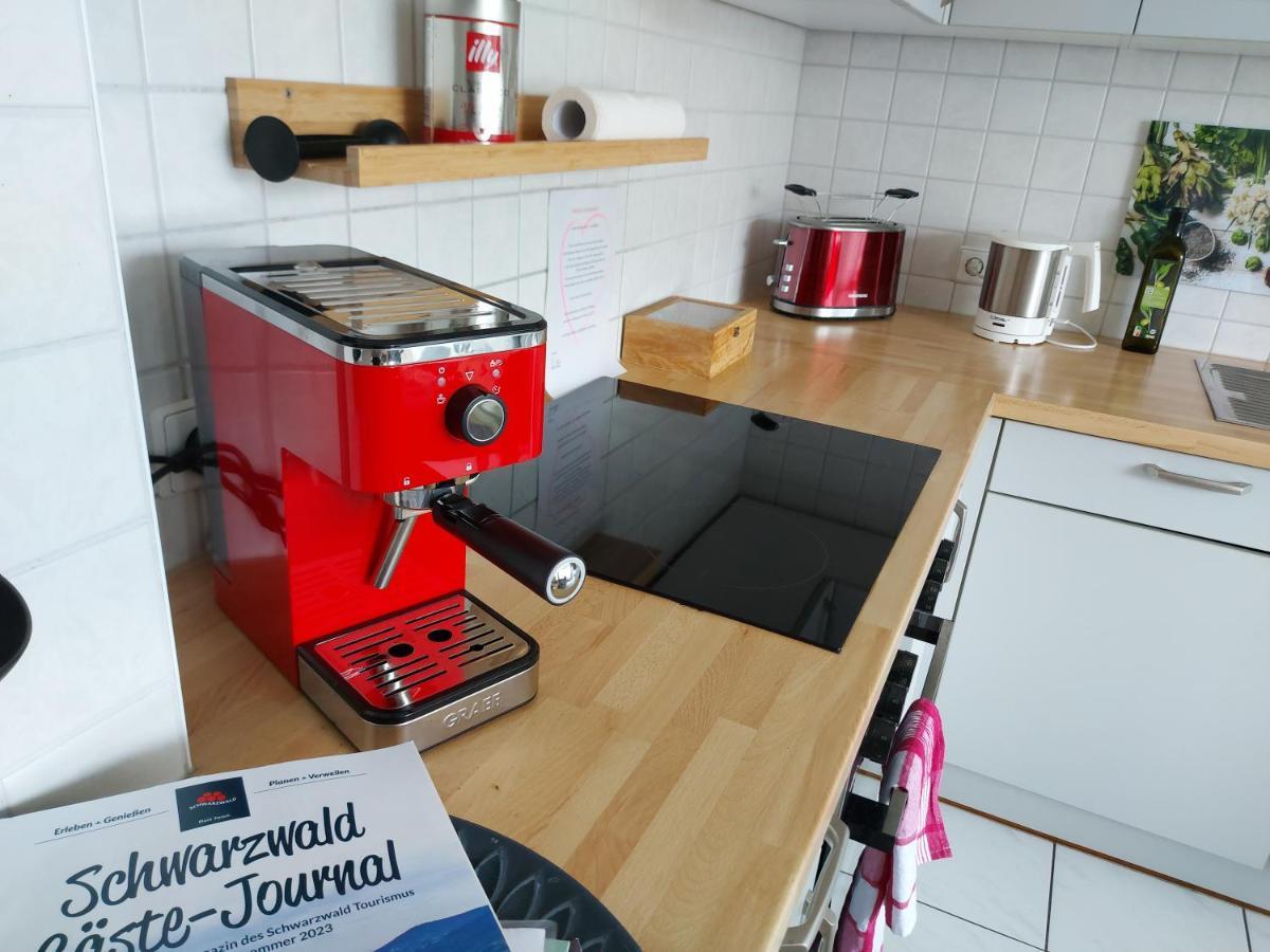 Ruhiges & Zentrales Loft In Loerrach Apartment Екстериор снимка